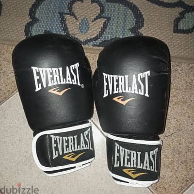 جلفز ملاكمه Everlast