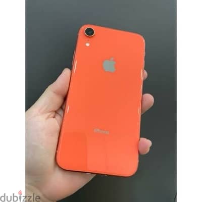 iphone xr 64 GB حاله ممتازه