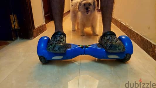 IO HAWK Hoverboard made in Germany - Used | هوفربورد IO HAWK مستعمل