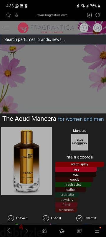 mancera aoud 1