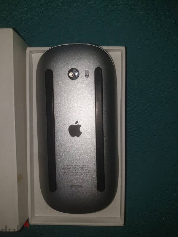 Apple Magic Mouse 1