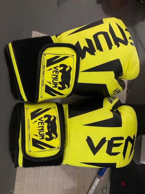 gloves kickbox 0