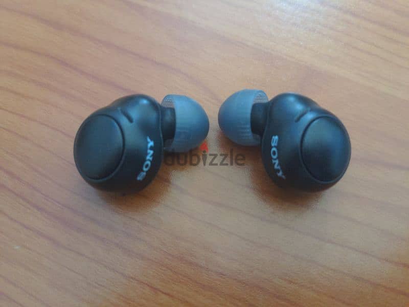 Sony C-500 Earbuds 3