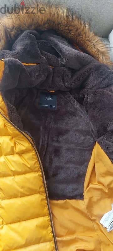 Zara Jacket for sale 3