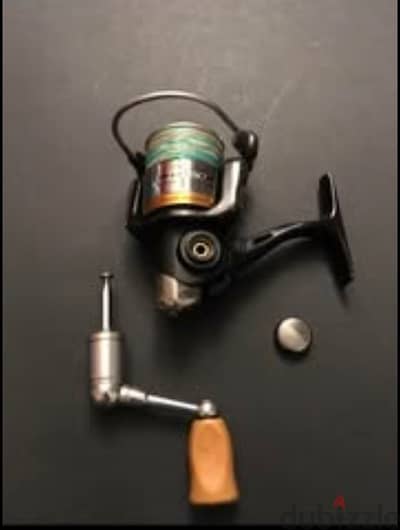 Daiwa presso