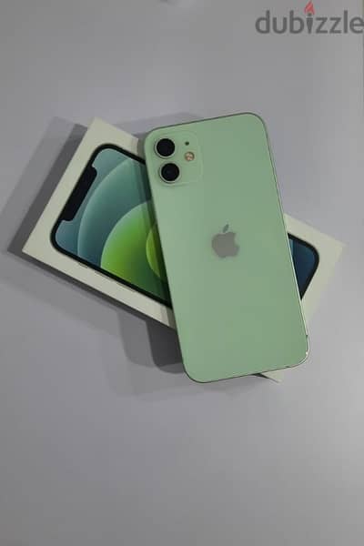 iphone 12 (mint green)