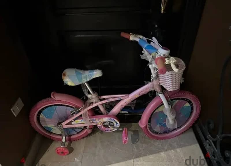 girl’s bicycle 0