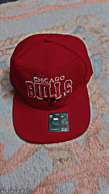 bull cap 1