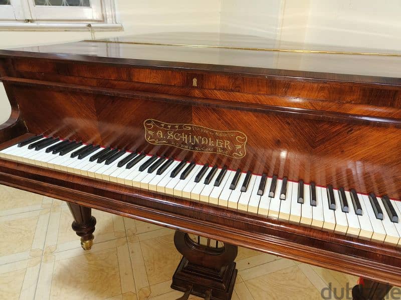 baby Grand Professional Coda for pianists 10