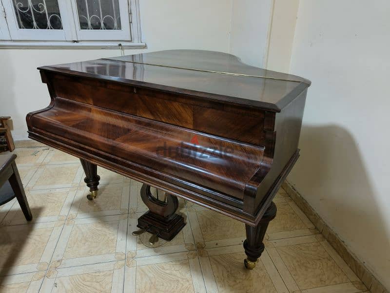 baby Grand Professional Coda for pianists 12