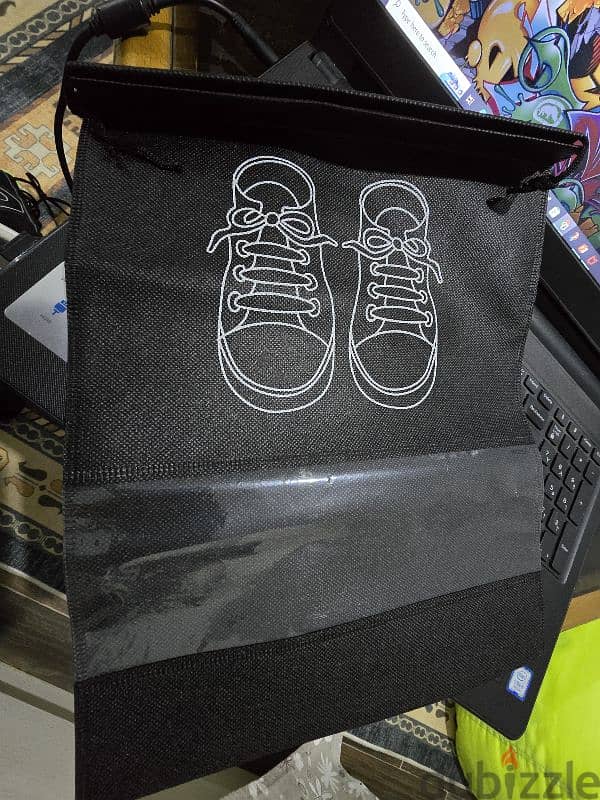 Shoe Bag 1