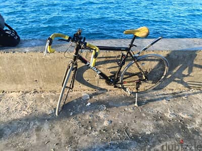 Trinx road bike  / عجلة ترينكس رود R310