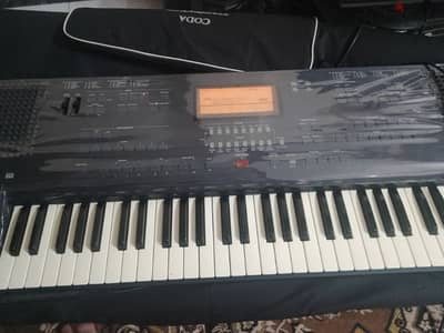 korg