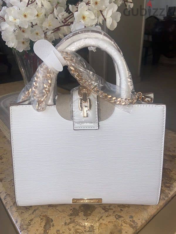 Original Aldo Bag 2