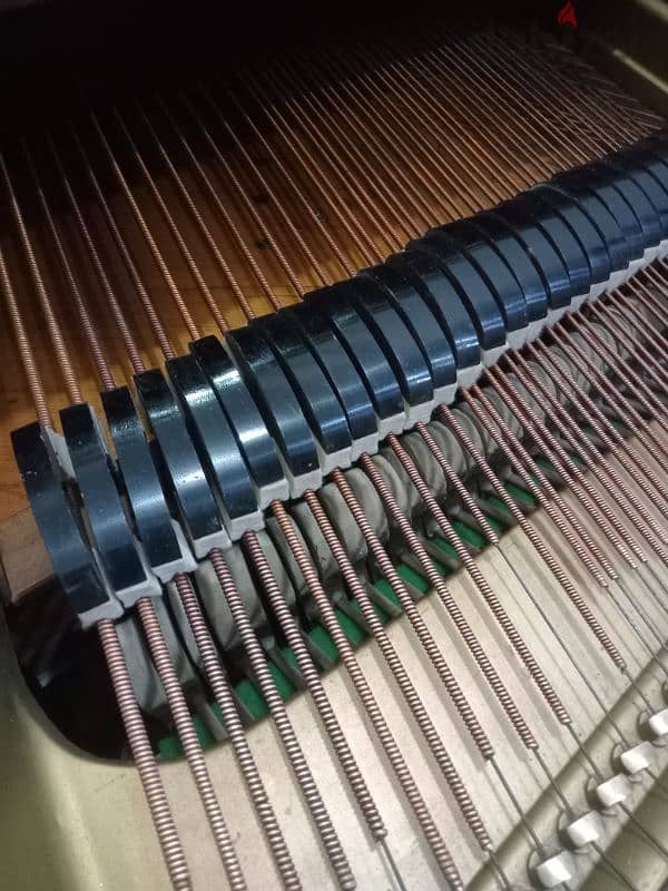 piano German Grand 5