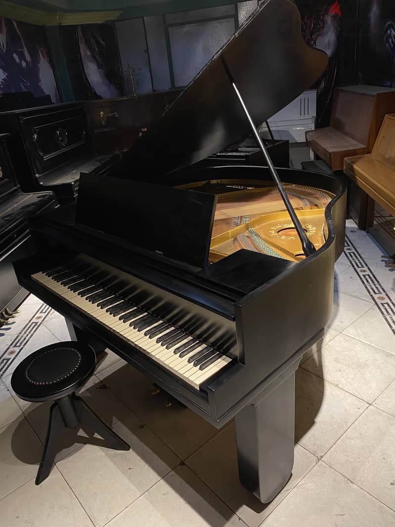 Grand piano 5