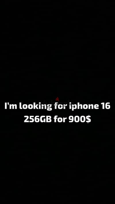 looking for iPhone 16 256GB