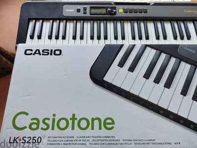 Casio Keyboard LK - S 250