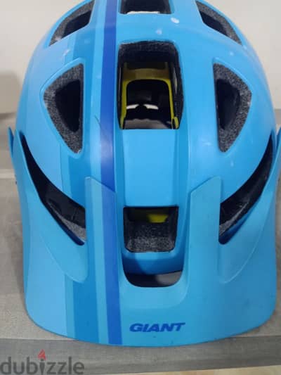 bicycle helmet