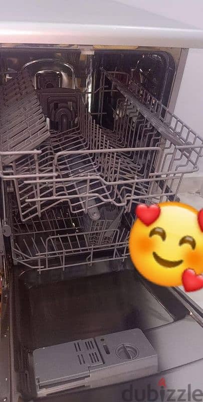 whitewhale dishwasher 3