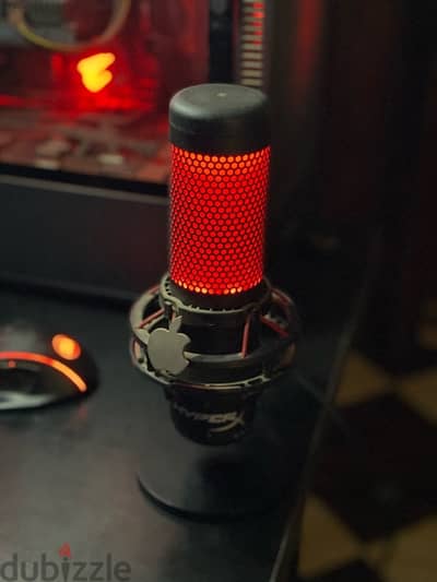 mic