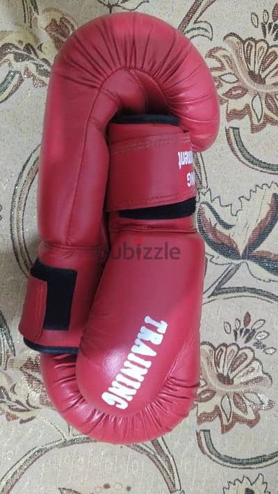 boxing & kickboxing gloves