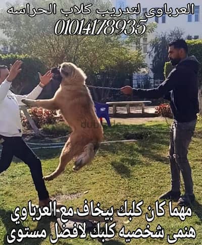 مدرب