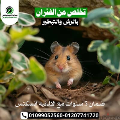 افضل شركة مكافحة حشرات