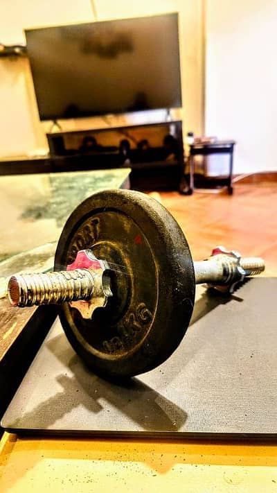 Dumbbells & Bar