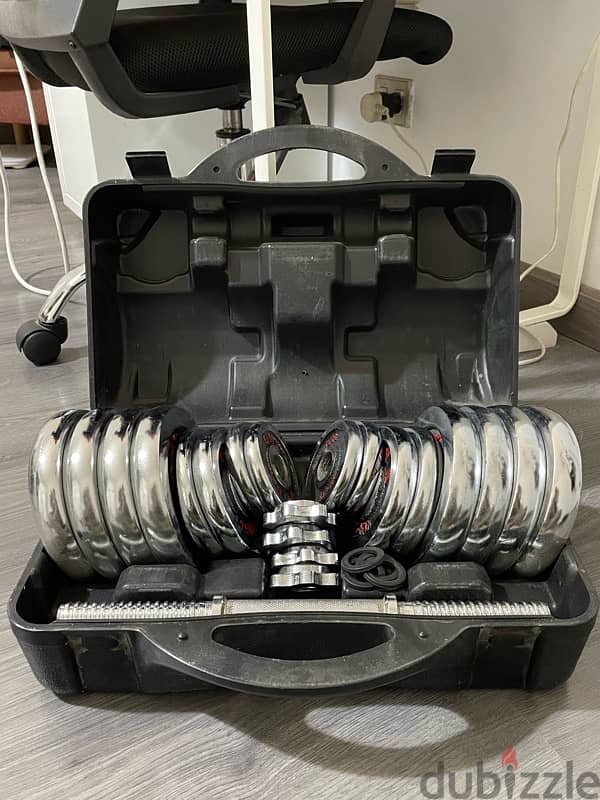 dumbbell set 30kg 1