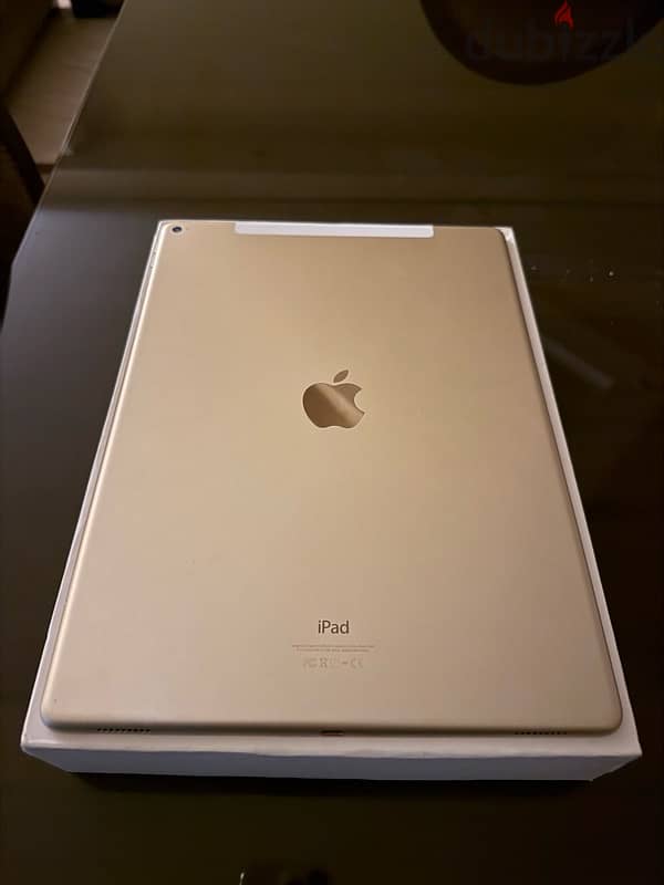 iPad Pro 1st Gen 0