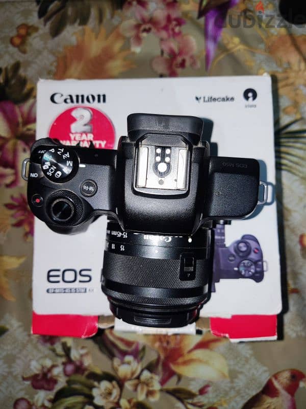 canon m50 5