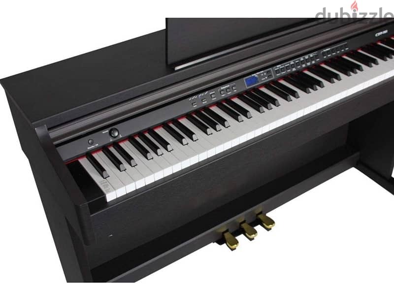 ORLA CDP-101 Rosewood Home Digital Piano 2