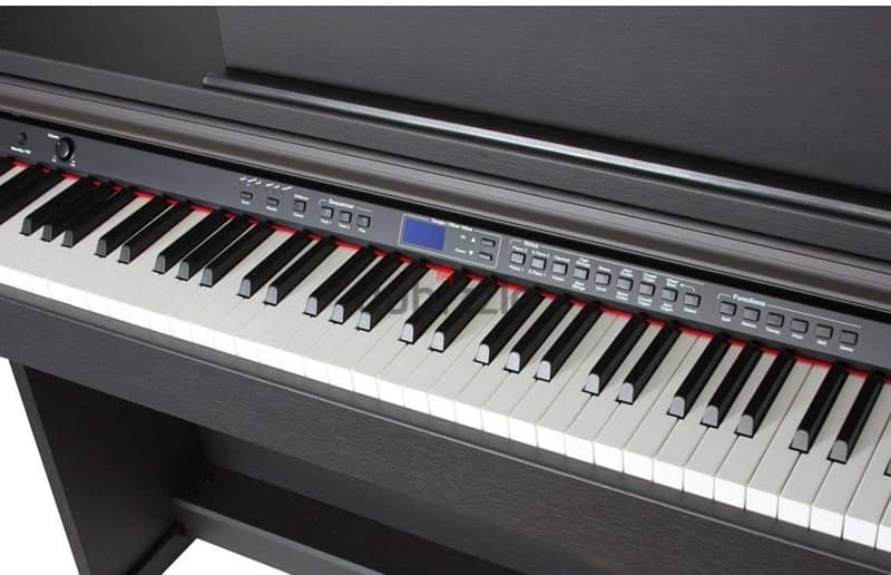 ORLA CDP-101 Rosewood Home Digital Piano 3