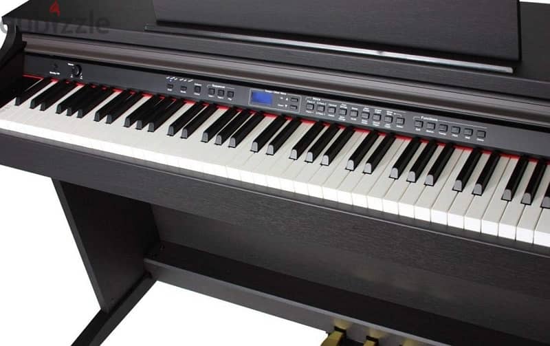 ORLA CDP-101 Rosewood Home Digital Piano 4