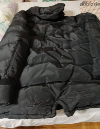 Pull and Bear Coat