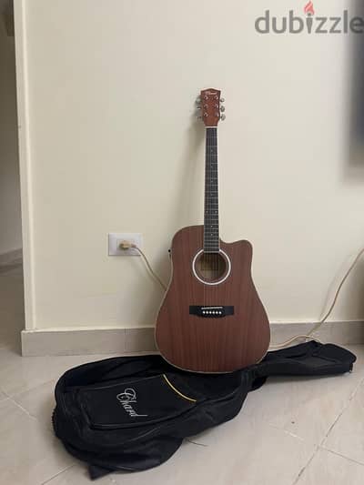 acoustic guitar chard ed15