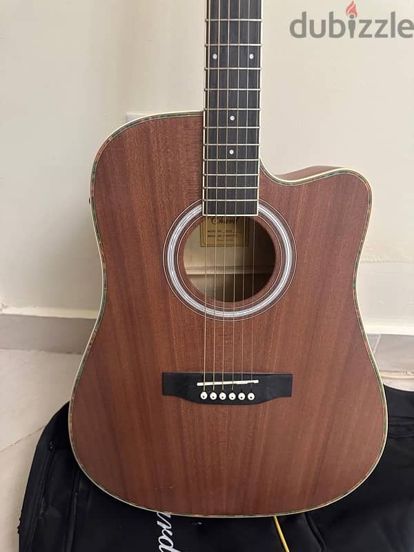 acoustic/electric guitar chard ed15 6