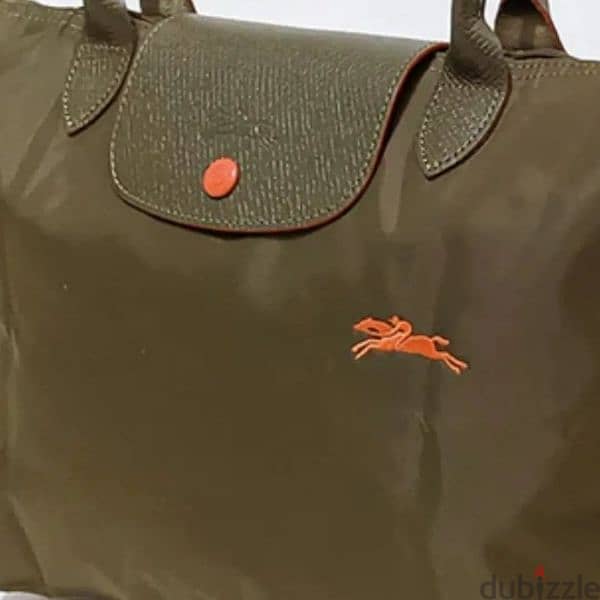 longchamp large size 4