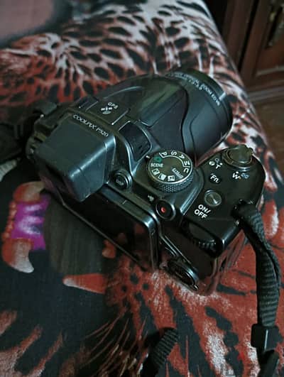 Nikon Coolpix P520