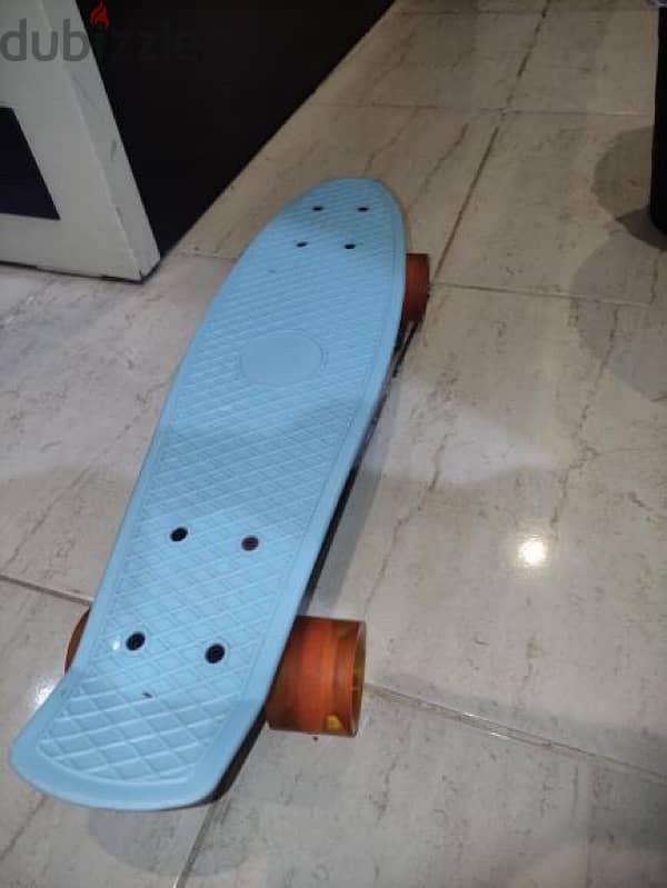 skateboard 2