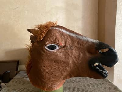 horse