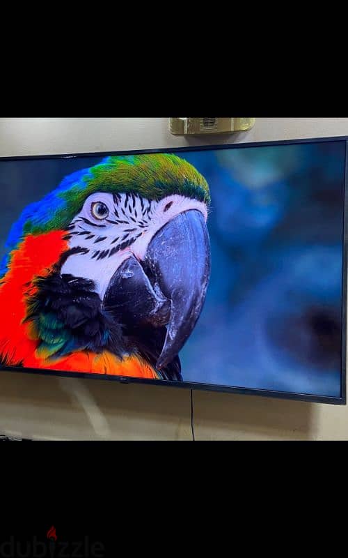 ل جىSMART Built-in satellit4k UHD49) بمشتملاتها بلكارتونه كلجديده 17