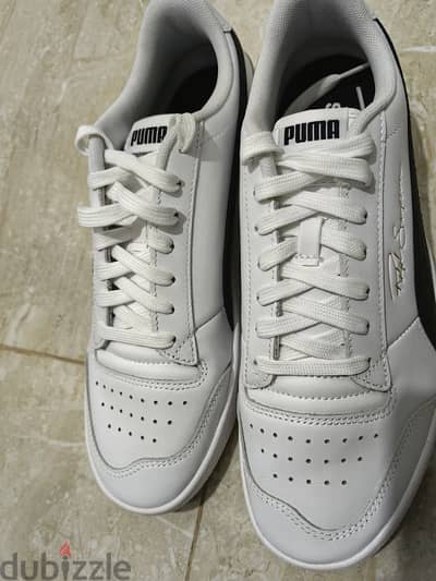 puma