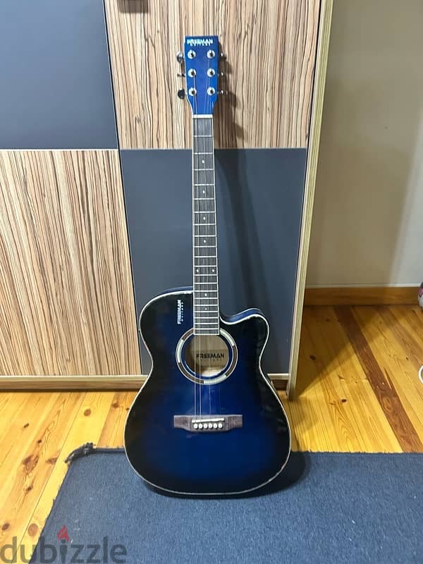 freeman acoustic guitar 0