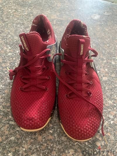 Nike Seminoles men size 13 US or fit 45-47