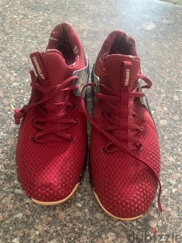 Nike Seminoles men size 13 US or fit 45-47 0