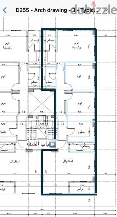 النرجس الجديده من المالك مباشرآ