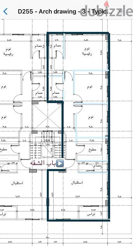 النرجس من المالك مباشرآ حديقه 0