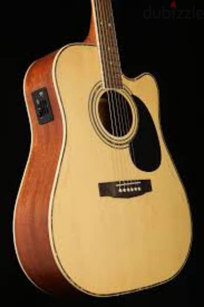 court acoustic guitar Ad 880